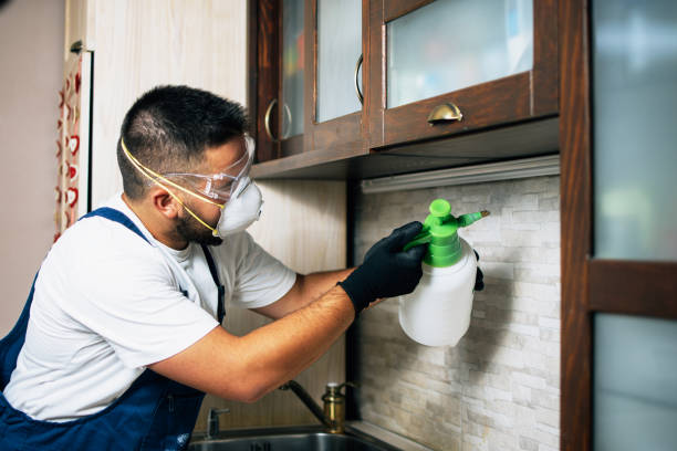 Best Exterminator Services  in Jackson, WI