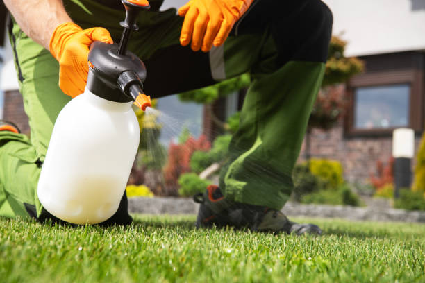 Professional Pest Control in Jackson, WI
