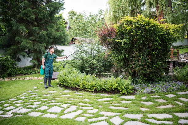 Best Affordable Pest Control Services  in Jackson, WI
