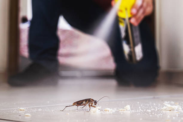 Best Pest Prevention Services  in Jackson, WI